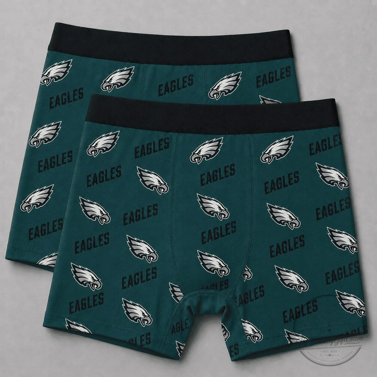 Philadelphia Eagles Football Team Fan Men's Boxer Briefs Underwear 1 Philadelphia Eagles Football Team Fan Men