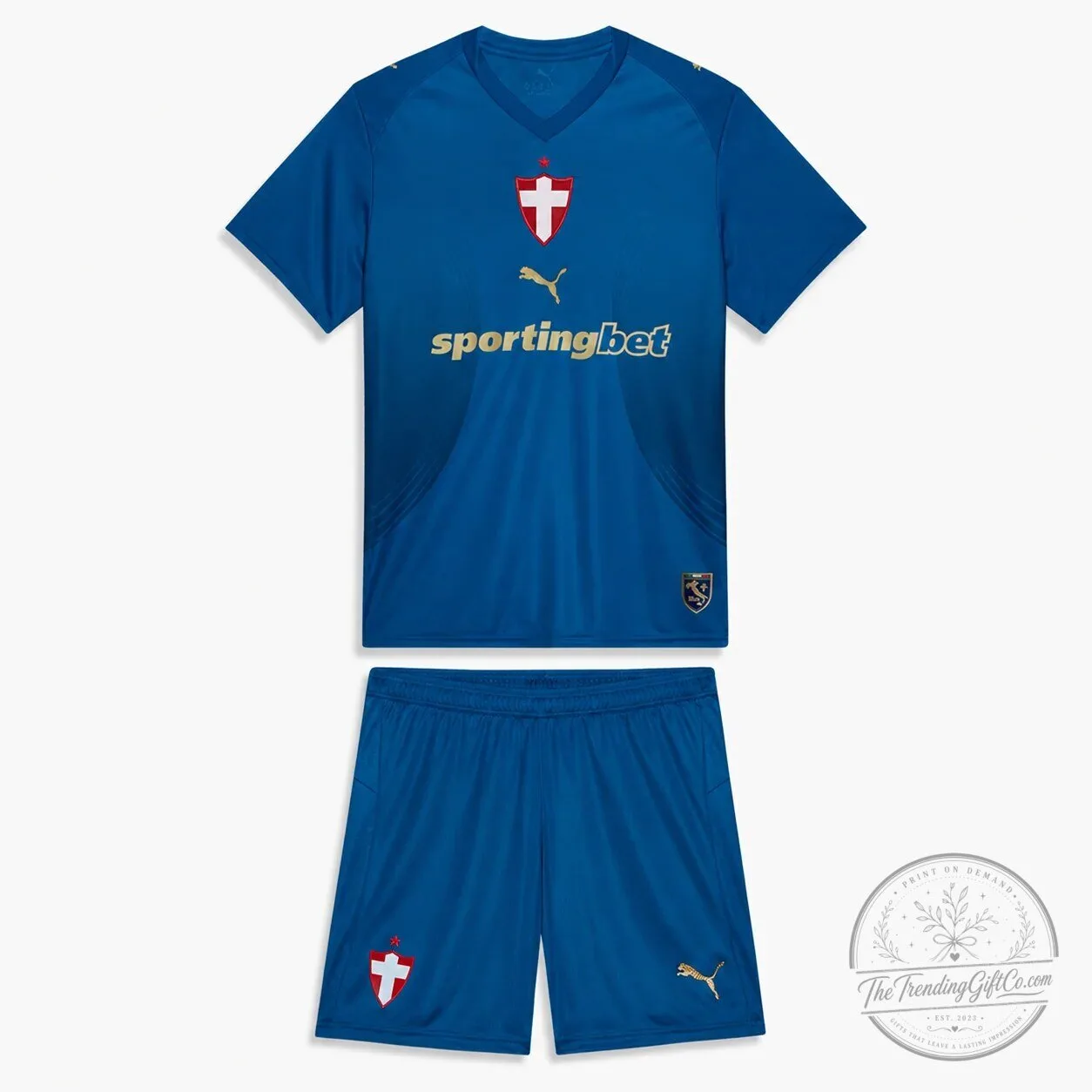 Switzerland National Football Team Blue Third Kit Soccer Jersey for Kids 2 Switzerland National Football Team Blue Third Kit Soccer Jersey for Kids